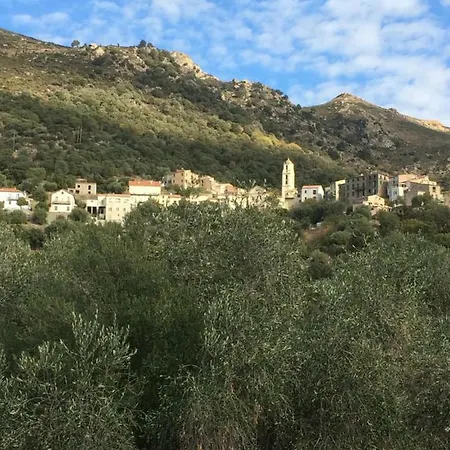 L'oliveraie Appartement