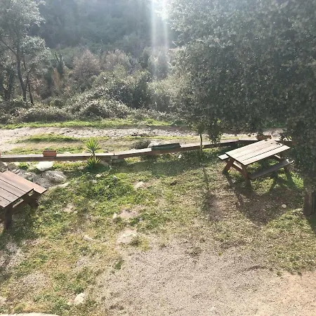 L'oliveraie Zilia