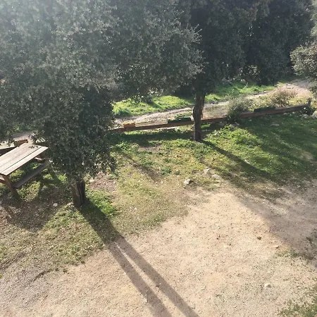L'oliveraie